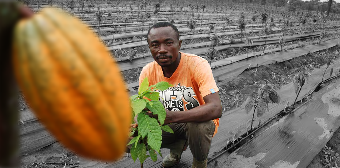 Cacao ivoirien : L’Union européenne impose sa loi