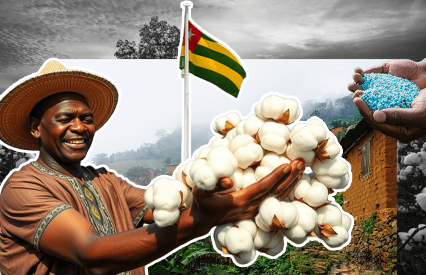 Togo : The murky business of cotton and fertilizers