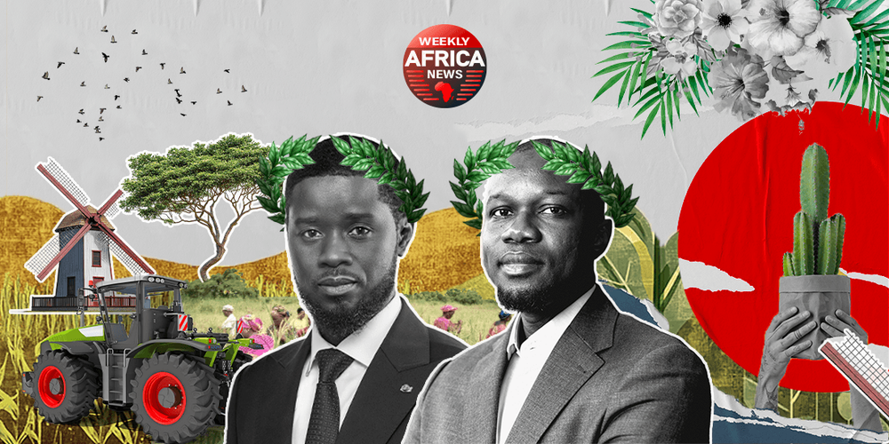 Agrobusiness au Sénégal : Pourquoi les promesses de Faye et Sonko peinent à convaincre ?