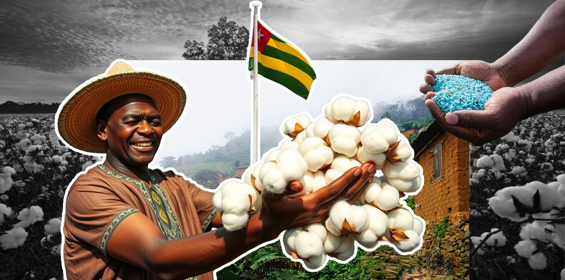 Togo : Le business trouble du coton et des engrais